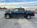 2022 Ford F-150 SuperCrew Cab 4WD Pickup for sale #P23575 - photo 3