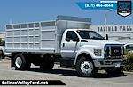 2024 Ford F-650 Regular Cab DRW 4x2 Scelzi Landscape Dump for sale #FT7234 - photo 1