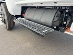 2024 Chevrolet Silverado 5500 Regular Cab DRW 4WD Cab Chassis for sale #C065710 - photo 14