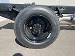 2024 Chevrolet Silverado 5500 Regular Cab DRW 4WD Cab Chassis for sale #C065710 - photo 16