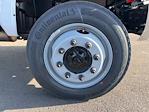 New 2024 Chevrolet Silverado 6500 Regular Cab 4x4 Cab Chassis for sale #C344576 - photo 15