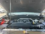 2023 Chevrolet Colorado Crew Cab 4WD Pickup for sale #5C4652A - photo 33