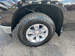 New 2025 Chevrolet Silverado 1500 Work Truck Regular Cab 4WD Pickup for sale #5C6737 - photo 10