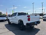 2024 Chevrolet Silverado 1500 Crew Cab 4WD Pickup for sale #6C2403A - photo 5