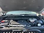 2024 Chevrolet Silverado 1500 Crew Cab RWD Pickup for sale #6C3132A - photo 34