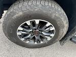 Used 2024 Nissan Titan PRO-4X Crew Cab for sale #6C4226A - photo 10
