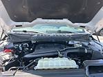 2021 Ford F-150 SuperCrew Cab 4WD Pickup for sale #P226164 - photo 32