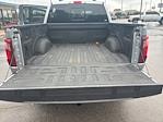 2024 Ford F-150 SuperCrew Cab 4WD Pickup for sale #P226212 - photo 15