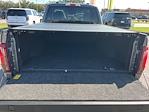 2024 Ford F-150 Regular Cab 4WD Pickup for sale #T226208A - photo 30