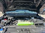 2024 Ford F-150 Regular Cab 4WD Pickup for sale #T226208A - photo 34