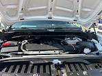 2024 Chevrolet Silverado 1500 Crew Cab 4WD Pickup for sale #T226312A - photo 33