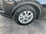 Used 2024 Ford Escape Active for sale #T226430 - photo 10