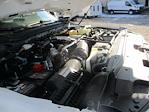 New 2025 Ford F-600 Regular Cab Cab Chassis for sale #2512046 - photo 23