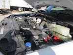 New 2025 Ford F-600 Regular Cab Cab Chassis for sale #2512046 - photo 24