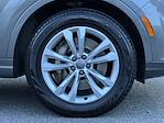 Used 2019 Audi Q7 Premium Plus for sale #KMB260209A - photo 7