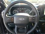 2021 Ford F-150 SuperCrew Cab 4WD Pickup for sale #P33566D1 - photo 25