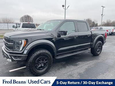Used 2023 Ford F-150 - photo 1