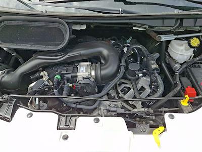 2024 Ford Transit 250 Low Roof RWD Empty Cargo Van for sale #P43834R - photo 1