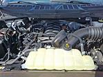 2024 Ford F-150 SuperCrew Cab 4WD Pickup for sale #P503111 - photo 27