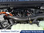 2025 Ford F-150 SuperCrew Cab 4WD Pickup for sale #P504751 - photo 22