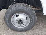 New 2024 Ford F-350 Regular Cab Landscape Dump for sale #24T744 - photo 8