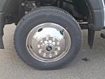 New 2024 Ford F-550 Regular Cab Landscape Dump for sale #24T762 - photo 8