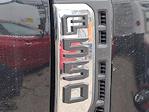 New 2024 Ford F-550 Regular Cab Steel Dump Truck for sale #24T826 - photo 46