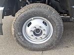 New 2025 Ford F-350 Regular Cab Cab Chassis for sale #25T216 - photo 30