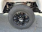 2025 Ford F-350 Regular Cab SRW 4WD Pickup for sale #12573 - photo 11
