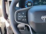 New 2025 Ford Bronco Stroppe Edition for sale #20962 - photo 24