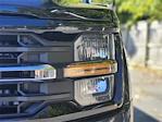 2025 Ford F-150 SuperCrew Cab 4WD Pickup for sale #35680 - photo 11