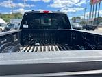 2025 Ford F-350 Crew Cab SRW 4WD Pickup for sale #47656 - photo 13
