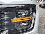 2025 Ford F-150 SuperCrew Cab 4WD Pickup for sale #63702 - photo 10