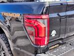 2025 Ford F-150 SuperCrew Cab 4WD Pickup for sale #66539 - photo 9