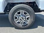 New 2025 Ford F-350 XLT Regular Cab 4WD SRW Pickup for sale #9260 - photo 11