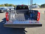 2025 Ford F-350 Regular Cab SRW 4WD Pickup for sale #9848 - photo 25