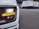 New 2026 Ford F-150 STX SuperCrew Cab for sale #D23326 - photo 10