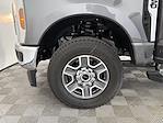 New 2025 Ford F-250 XLT Crew Cab 4WD Pickup for sale #ED83994 - photo 33