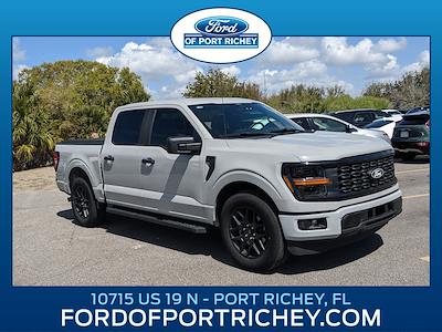 Used 2024 Ford F-150 - photo 1