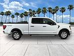 New 2025 Ford F-150 XL SuperCrew Cab 4WD Pickup for sale #FB52927 - photo 10