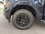 New 2025 Ford F-150 XLT SuperCrew Cab 4WD Pickup for sale #FB70168 - photo 34