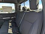 New 2025 Ford F-150 XLT SuperCrew Cab 4WD Pickup for sale #FB90449 - photo 18