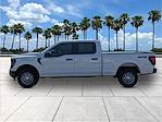 New 2025 Ford F-150 XL SuperCrew Cab 4WD Pickup for sale #KE62782 - photo 5