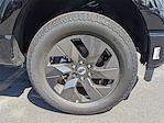 New 2025 Ford F-150 STX SuperCrew Cab 4WD Pickup for sale #KE98334 - photo 12