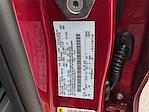 New 2025 Ford Ranger XL SuperCrew Cab Pickup for sale #LE35317 - photo 33