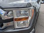 2022 Ford F-150 Regular Cab RWD Pickup for sale #QD10466A - photo 12