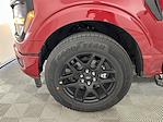 New 2025 Ford F-150 STX SuperCrew Cab Pickup for sale #QD41285 - photo 30