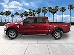 New 2025 Ford F-150 XLT SuperCrew Cab 4WD Pickup for sale #QD69655 - photo 5