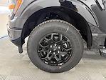 New 2025 Ford F-150 XLT SuperCrew Cab 4WD Pickup for sale #QE90927 - photo 32
