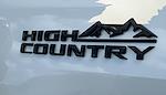 2024 Chevrolet Silverado 3500 Crew Cab 4WD Pickup for sale #237345T - photo 23